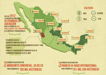 México se convierte en campo mundial de biomasa transgénica.